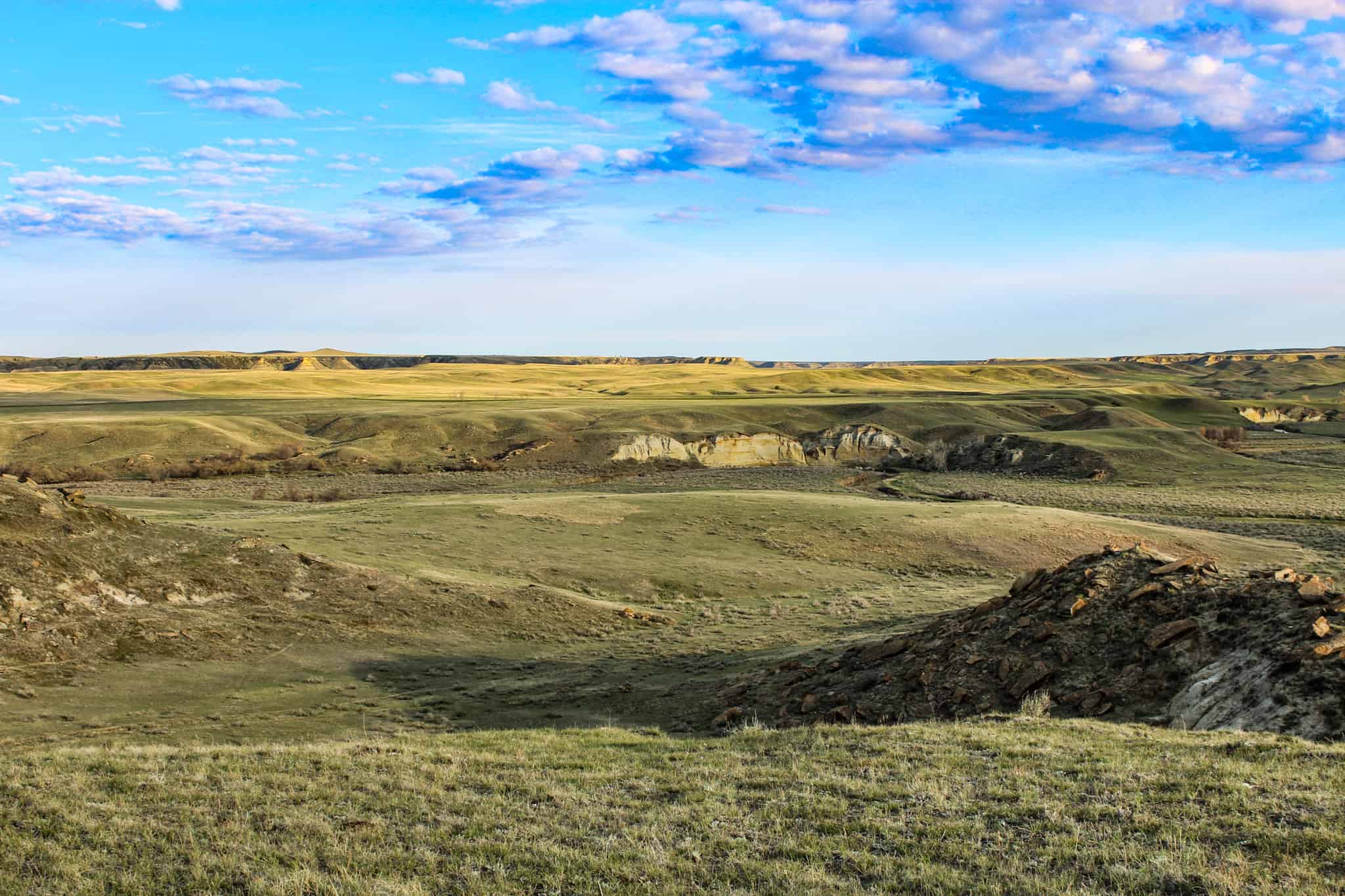 Northeastern Montana Working Cattle Ranch-Mule Deer Hunting Property