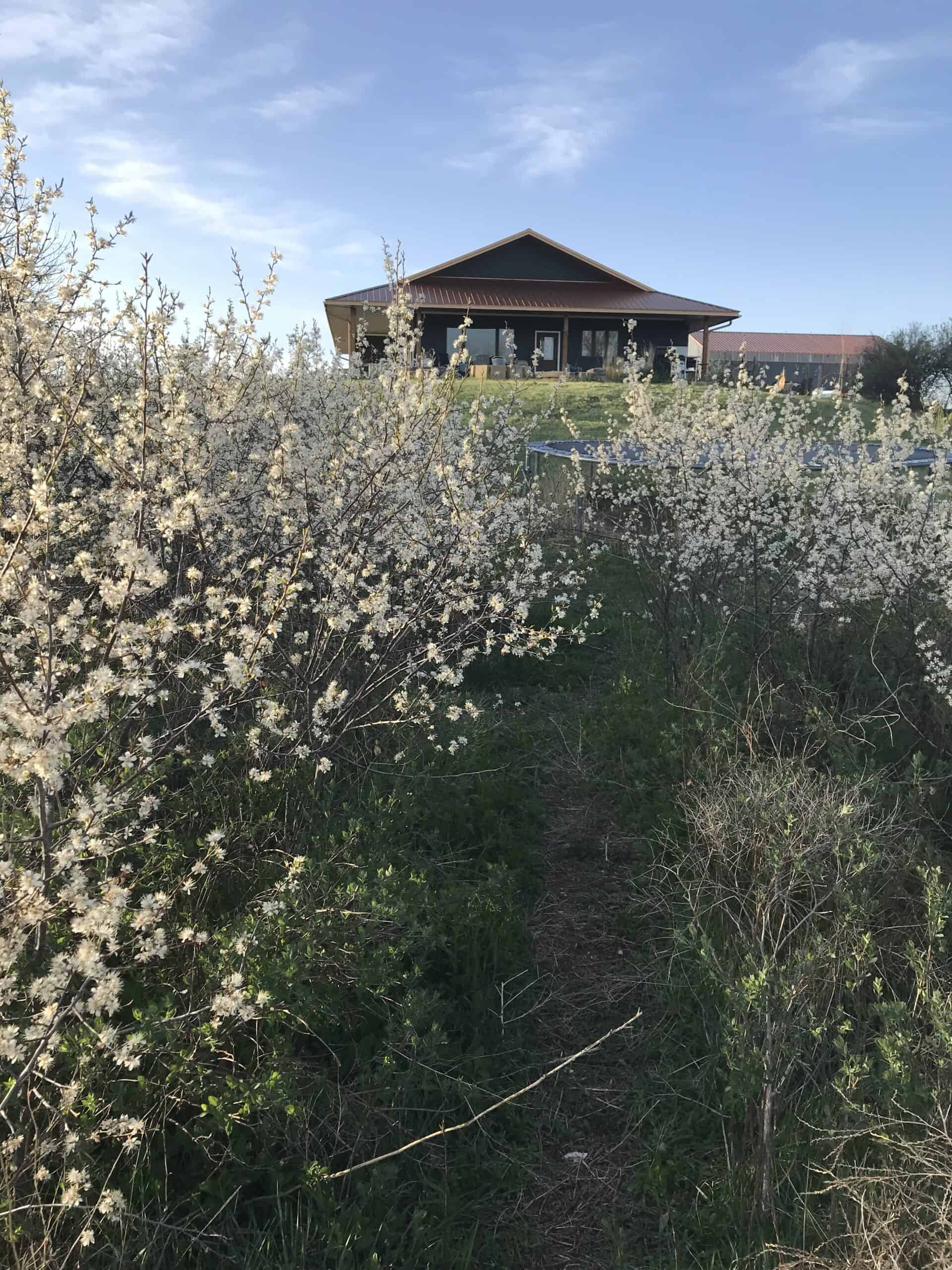 Hunting and Ranch property for sale in Hot Springs, SD near Angustora Lake