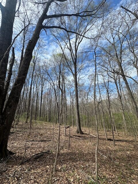 The Bear Creek Tract