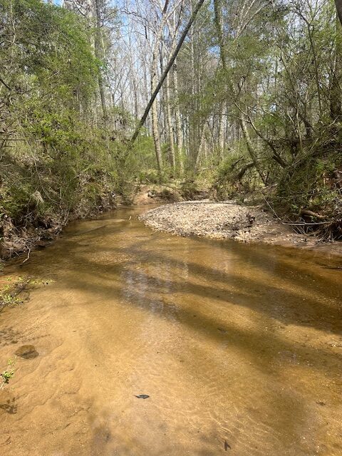 The Bear Creek Tract