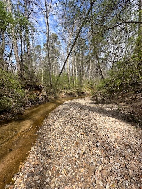 The Bear Creek Tract
