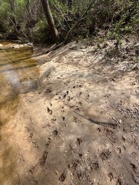 The Bear Creek Tract