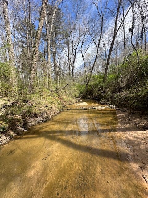 The Bear Creek Tract