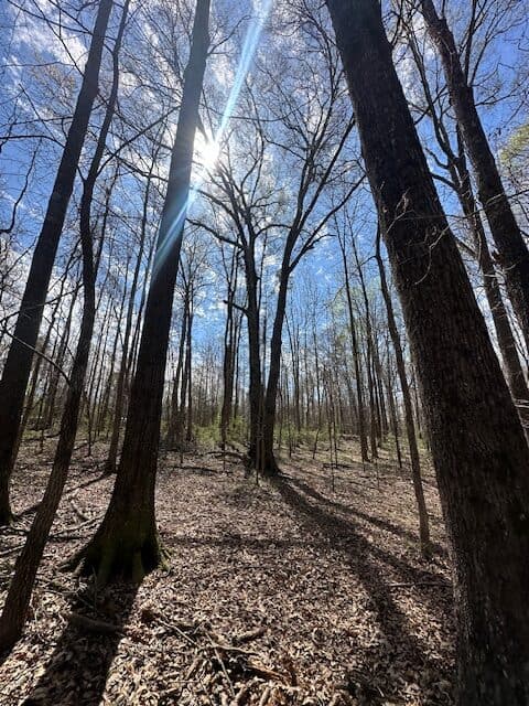 The Bear Creek Tract