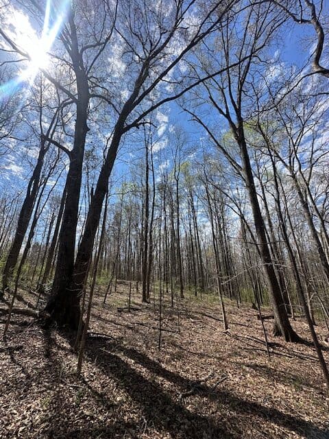 The Bear Creek Tract