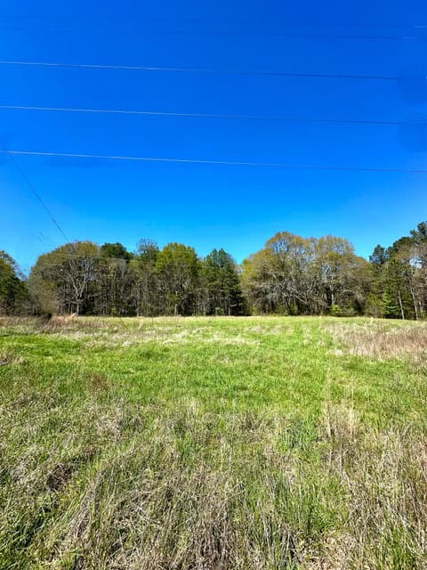 The Bear Creek Tract