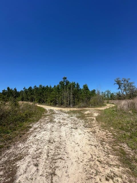 The Brewton Creek Tract