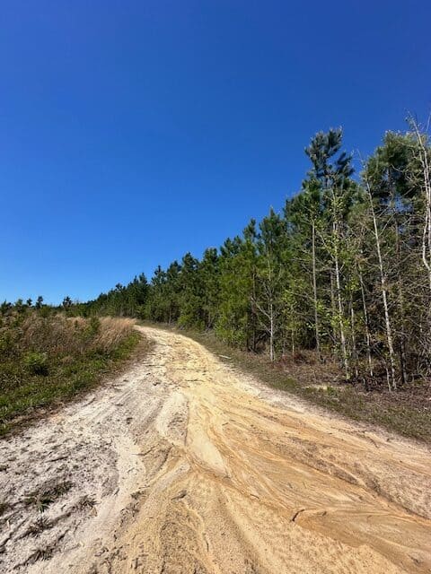 The Brewton Creek Tract