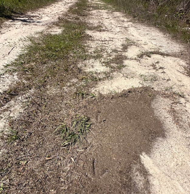 The Brewton Creek Tract