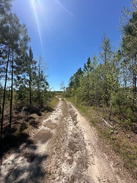 The Brewton Creek Tract