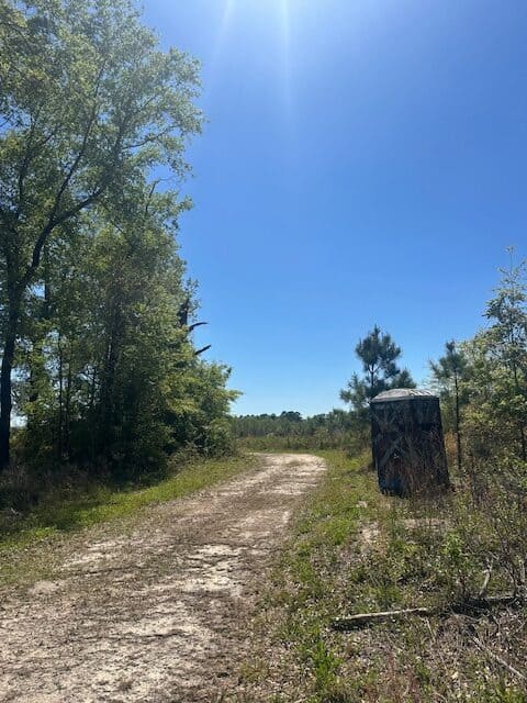 The Brewton Creek Tract