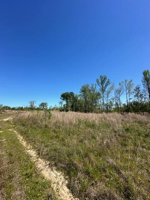 The Brewton Creek Tract