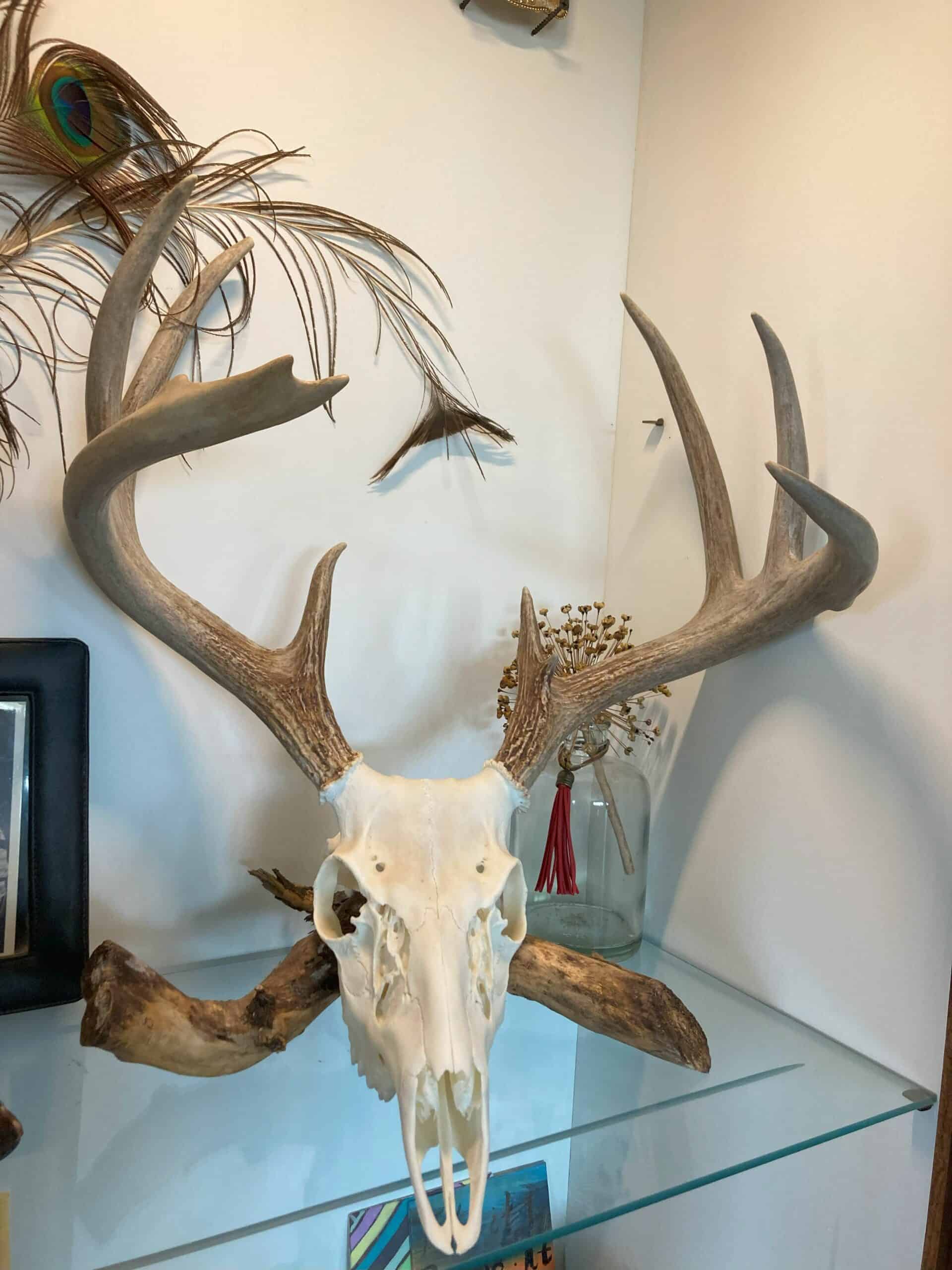 Hunting and Ranch property for sale in Hot Springs, SD near Angustora Lake