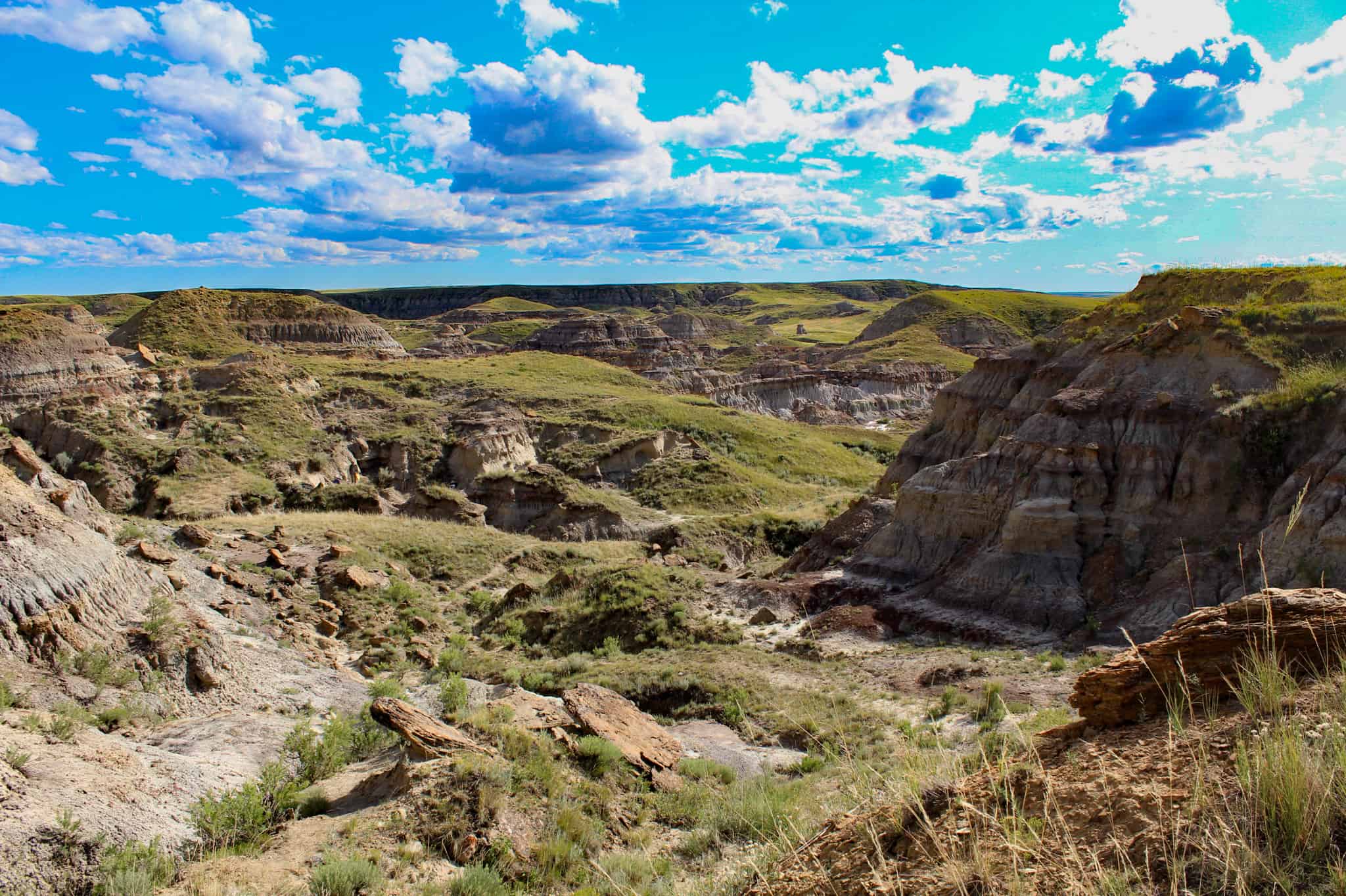 Northeastern Montana Working Cattle Ranch-Mule Deer Hunting Property