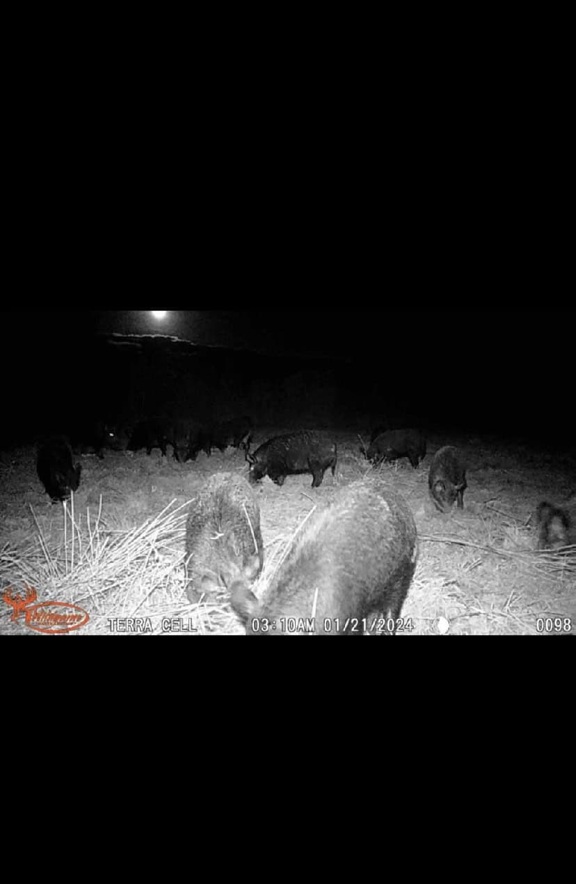 East Texas Deer and Duck Hunting Property for Sale UC Hunting Properties