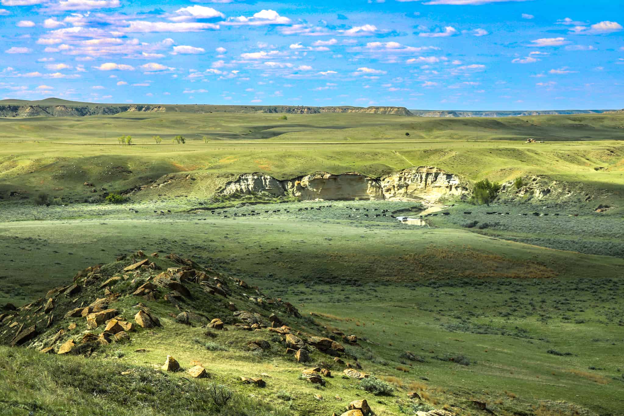 Northeastern Montana Working Cattle Ranch-Mule Deer Hunting Property
