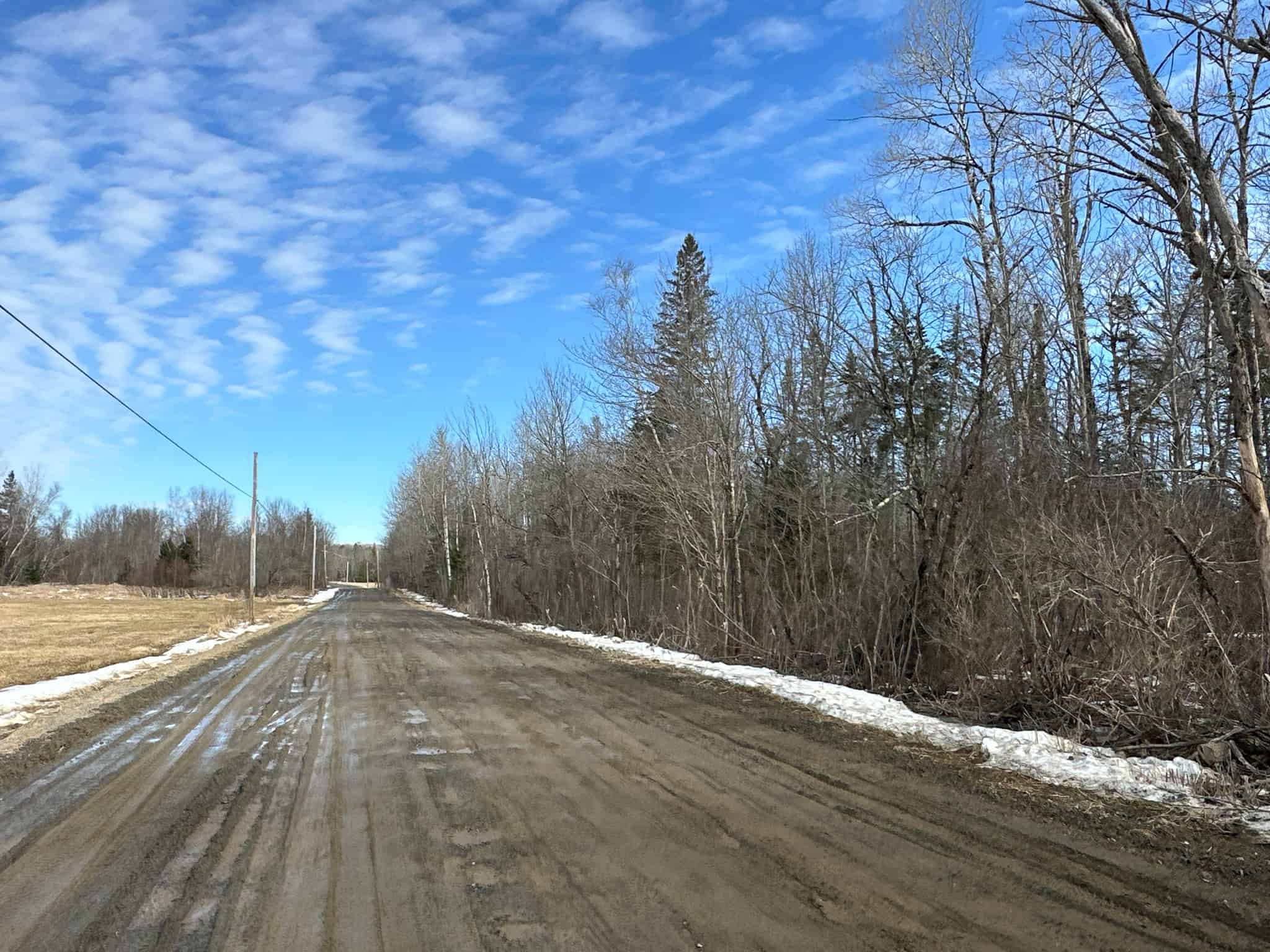 Maine Land for Sale Near Bangor UC Hunting Properties