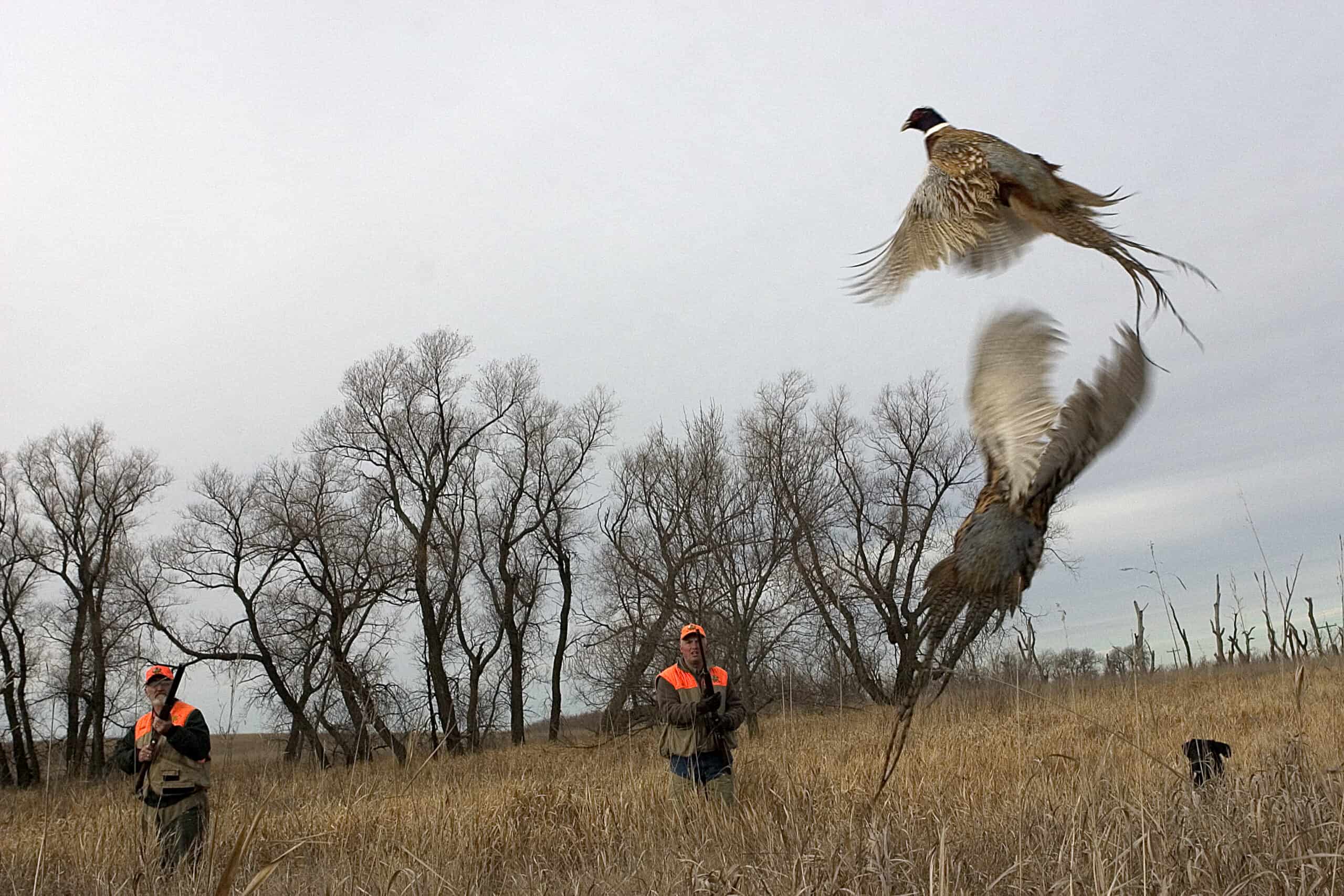 Colorado Shooting Preserve, Event Center, Sporting Clays Club for Sale