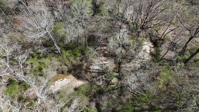 The Bear Creek Tract