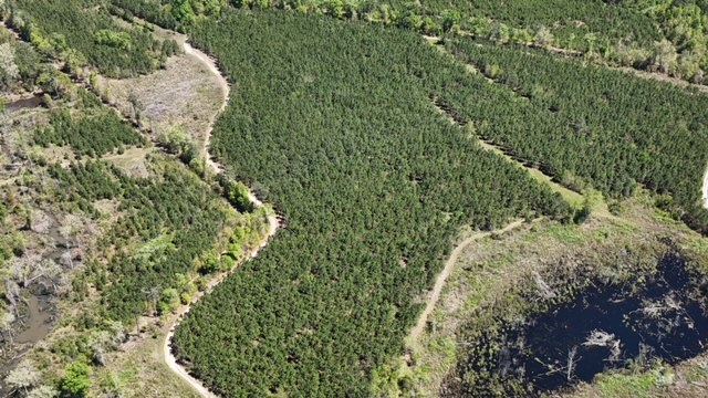 The Brewton Creek Tract