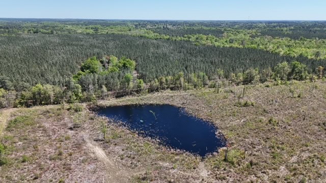 The Brewton Creek Tract