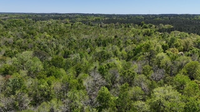 The Brewton Creek Tract