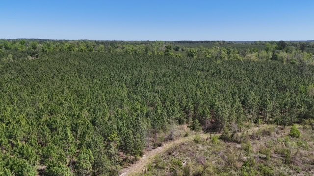 The Brewton Creek Tract