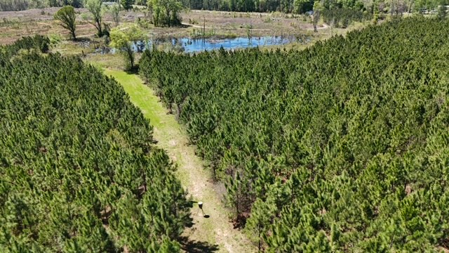 The Brewton Creek Tract
