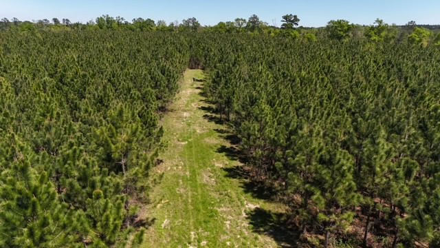 The Brewton Creek Tract