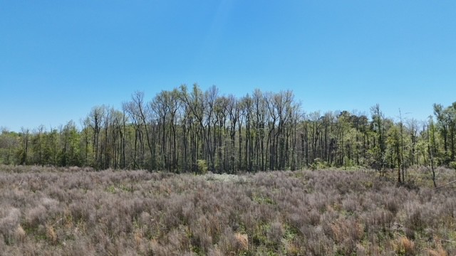 The Brewton Creek Tract