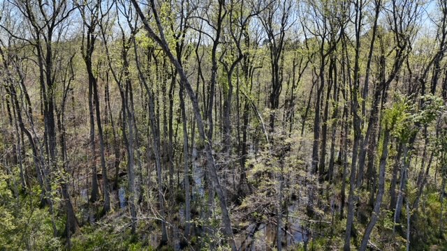 The Brewton Creek Tract