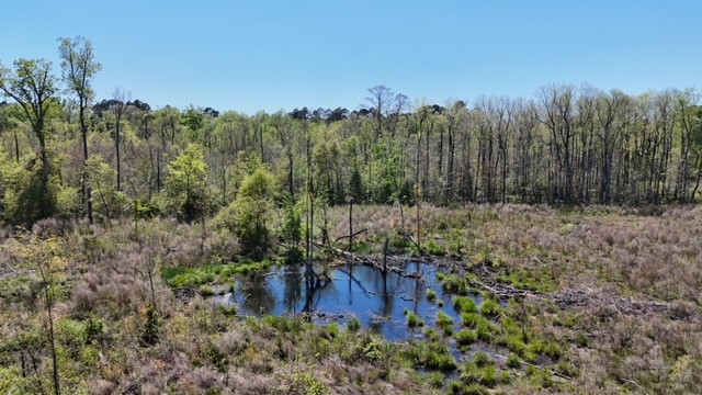 The Brewton Creek Tract