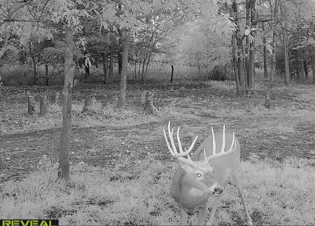 Van Buren County Small Tract of Land For Sale!