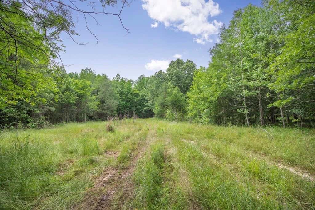 Turn Key Small Hunting Tract in Hinds County