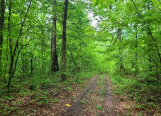 1,004 acres for sale in Casey County Kentucky