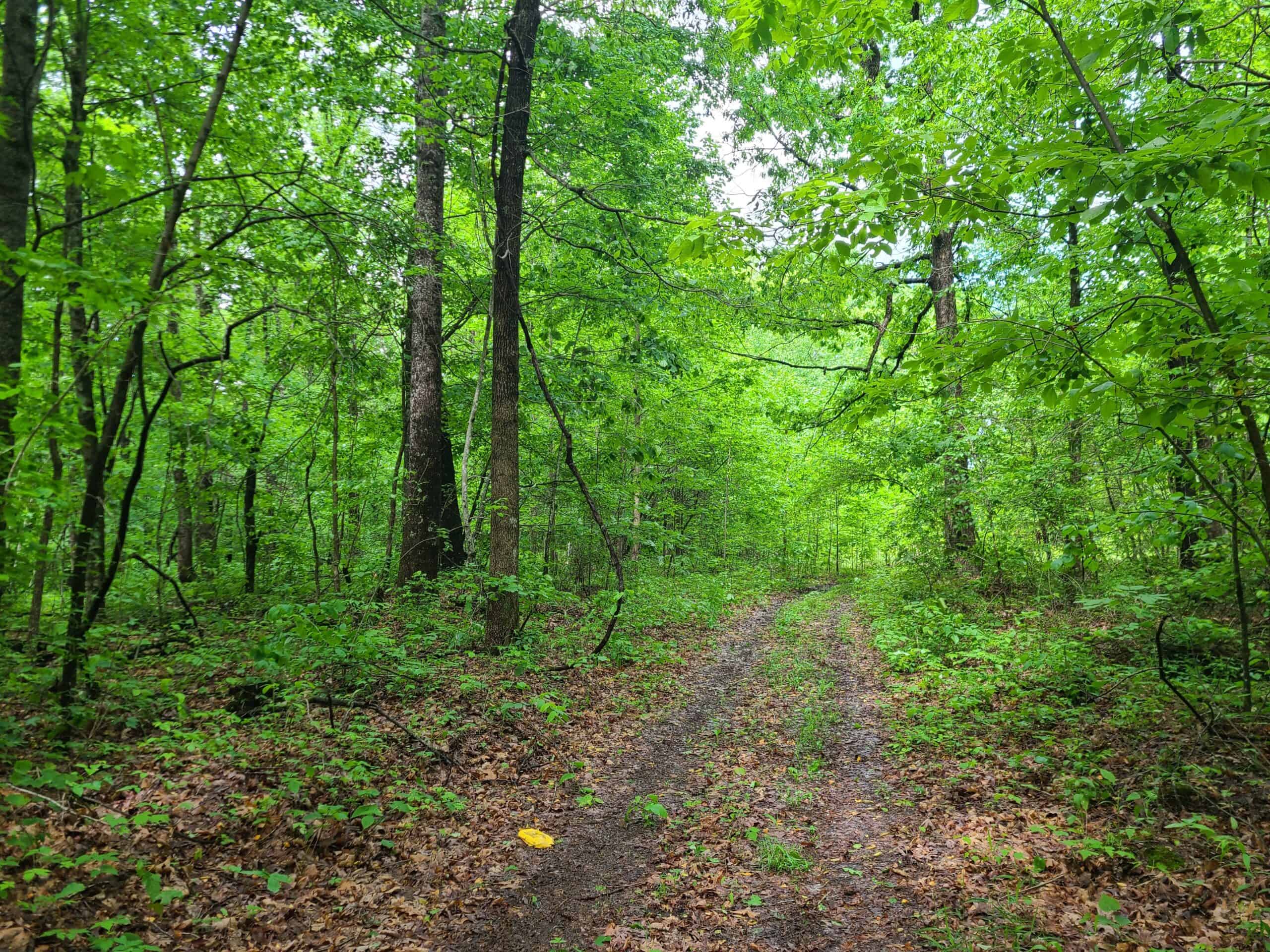 1,004 acres for sale in Casey County Kentucky