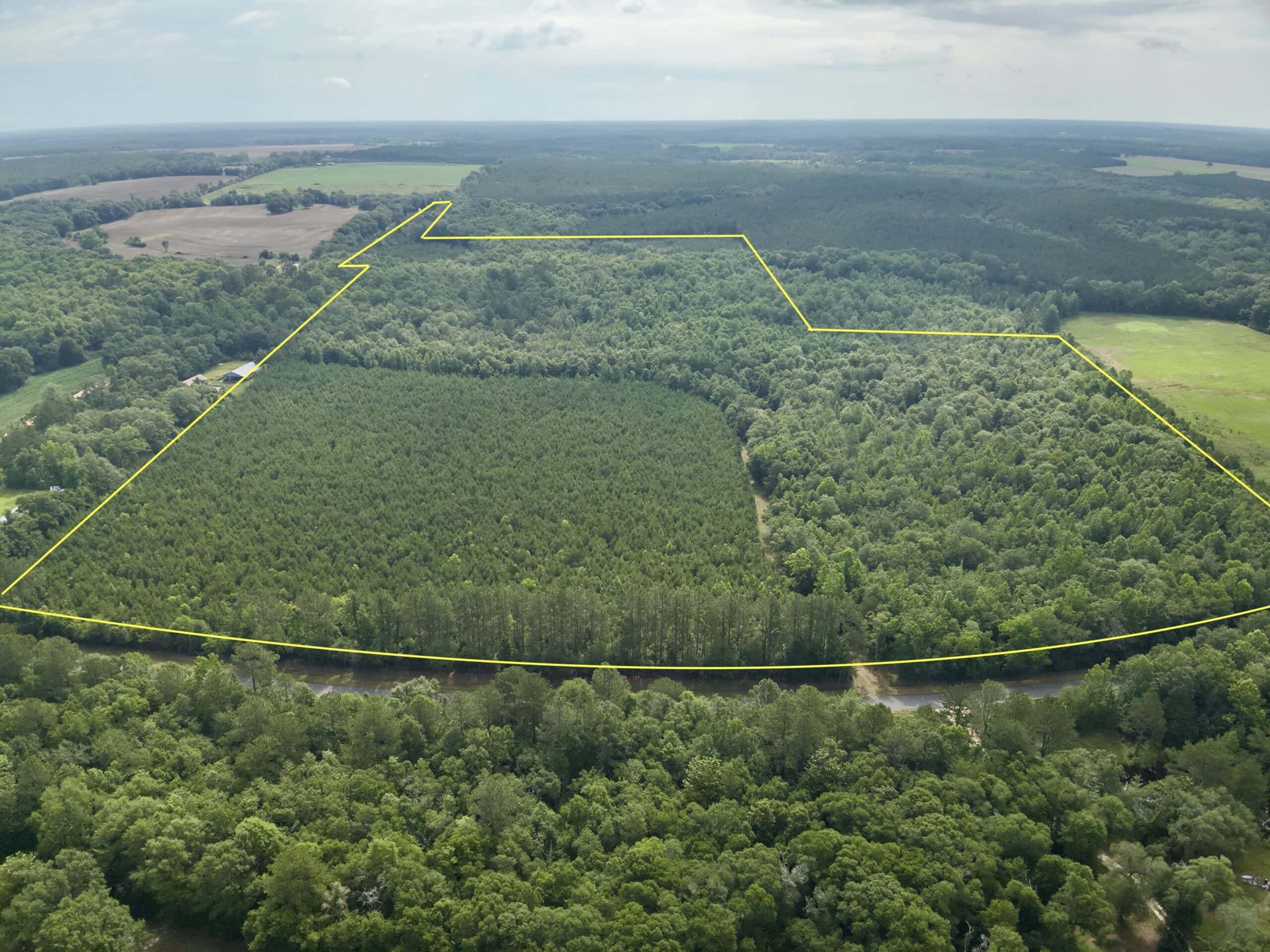 North Florida Hunting Land for Sale