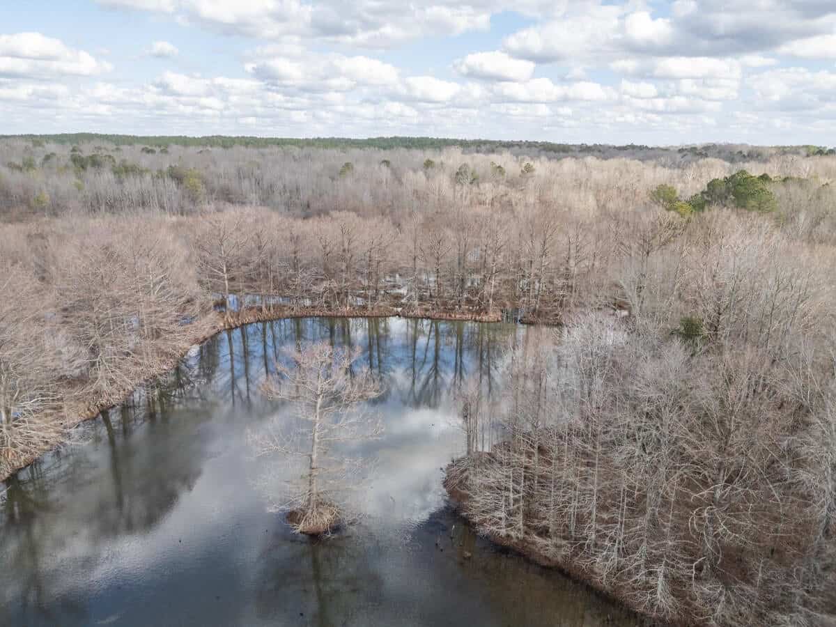 Hunting Land For Sale in Montgomery County MS UC Hunting Properties