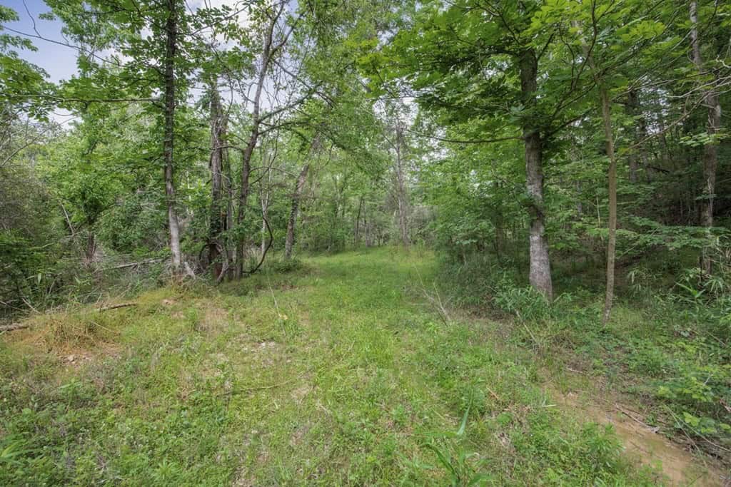 Turn Key Small Hunting Tract in Hinds County