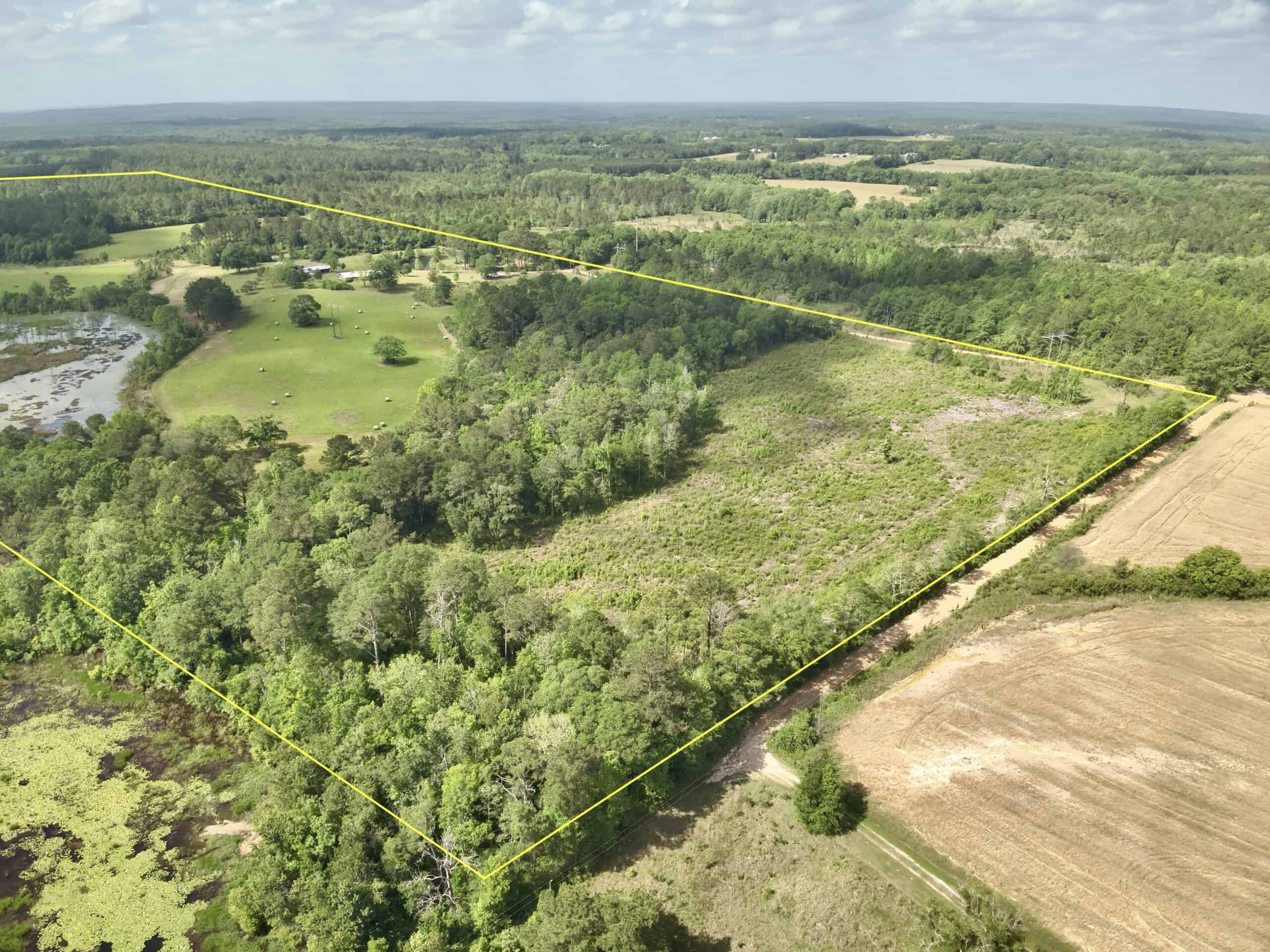 300ac North Florida Farm – Hunting Land & Home for Sale