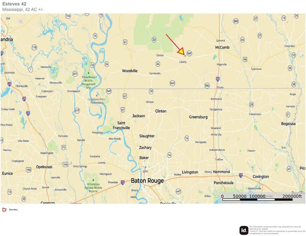 42 Acres Hunting Timberland for Sale Amite County, MS