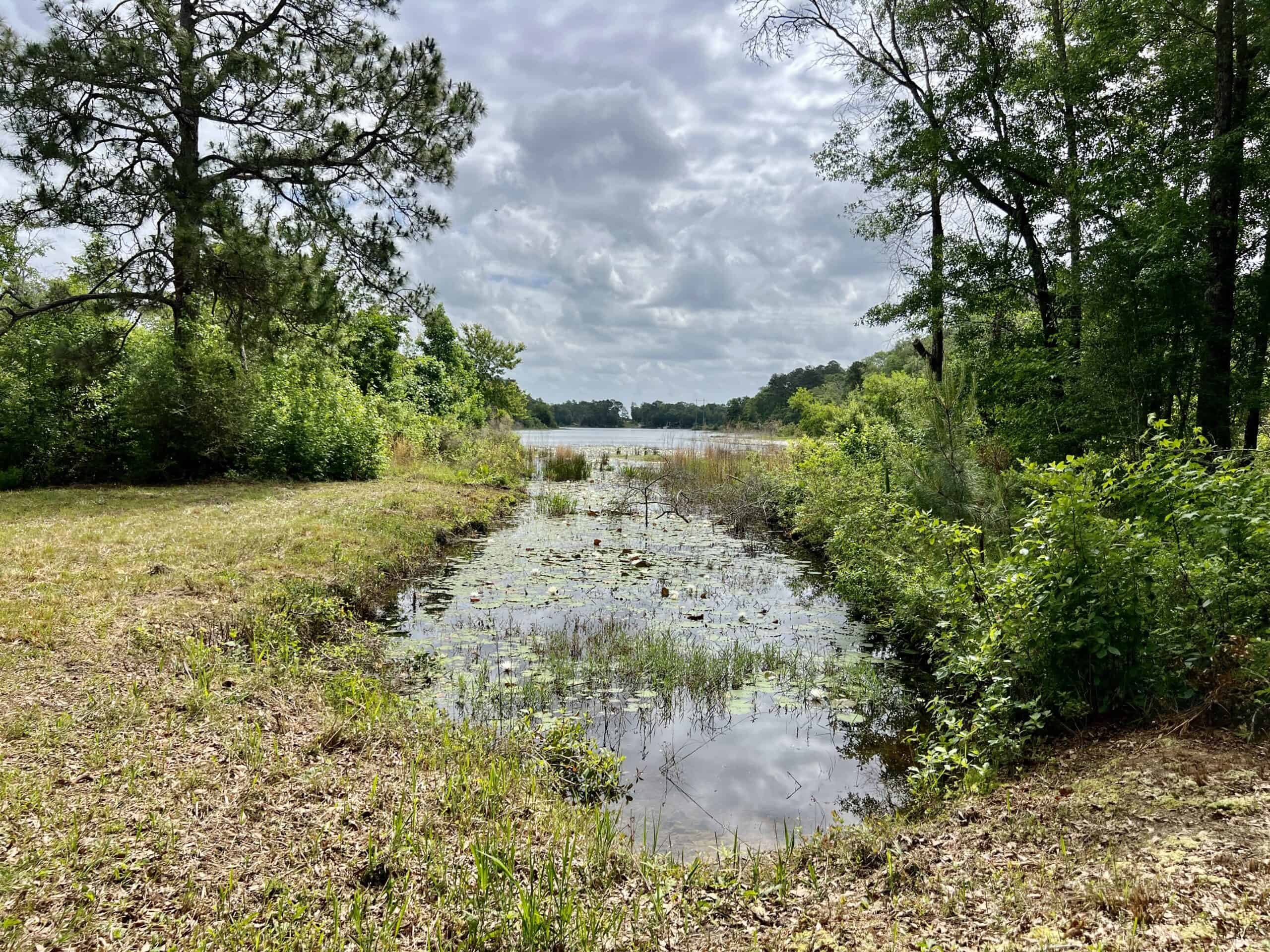 300ac North Florida Farm – Hunting Land & Home for Sale