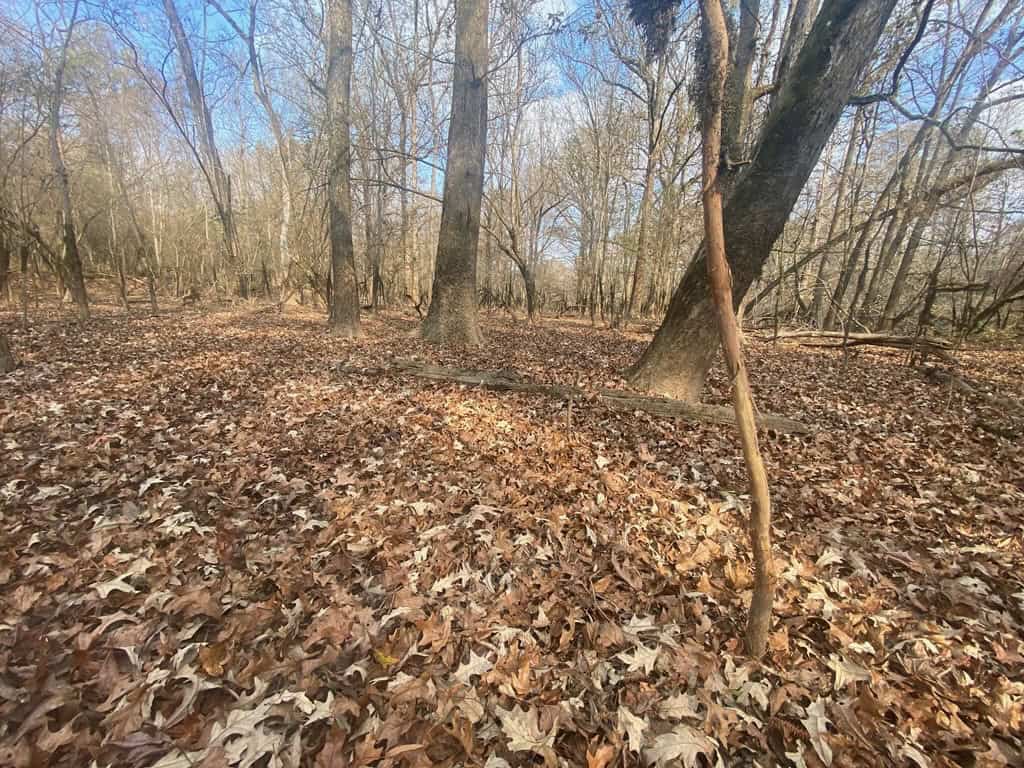 Hunting Land and Camp for Sale on the Pearl River