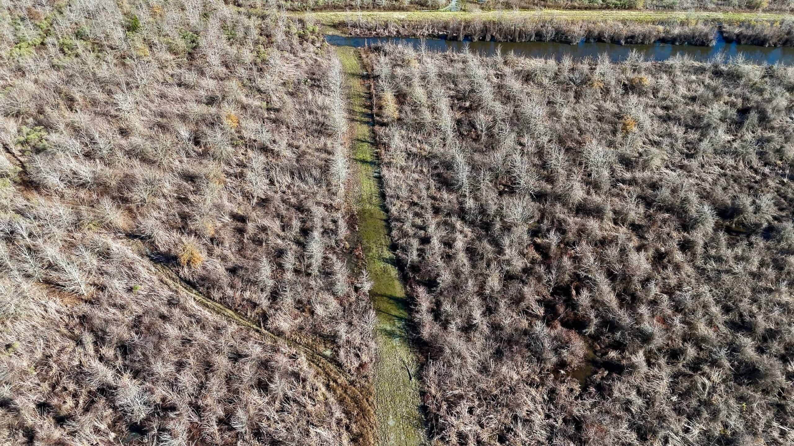 Delta Duck and Deer Hunting Property for Sale
