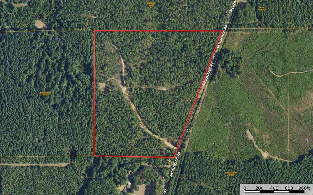 42 Acres Hunting Timberland for Sale Amite County, MS