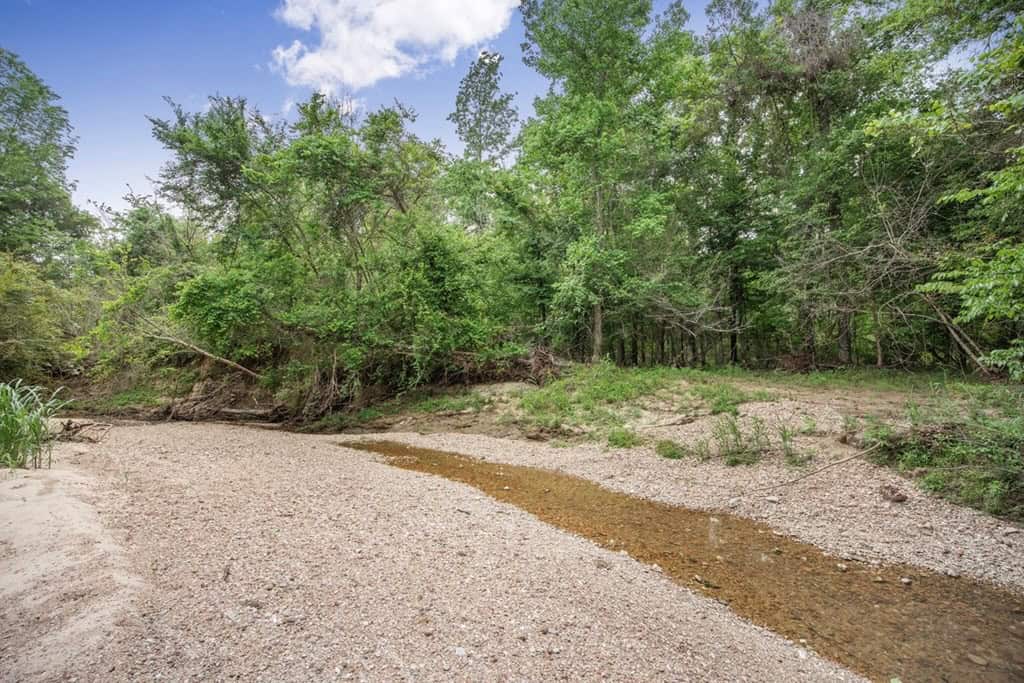 Turn Key Small Hunting Tract in Hinds County
