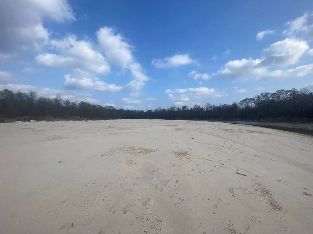 Hunting Land and Camp for Sale on the Pearl River