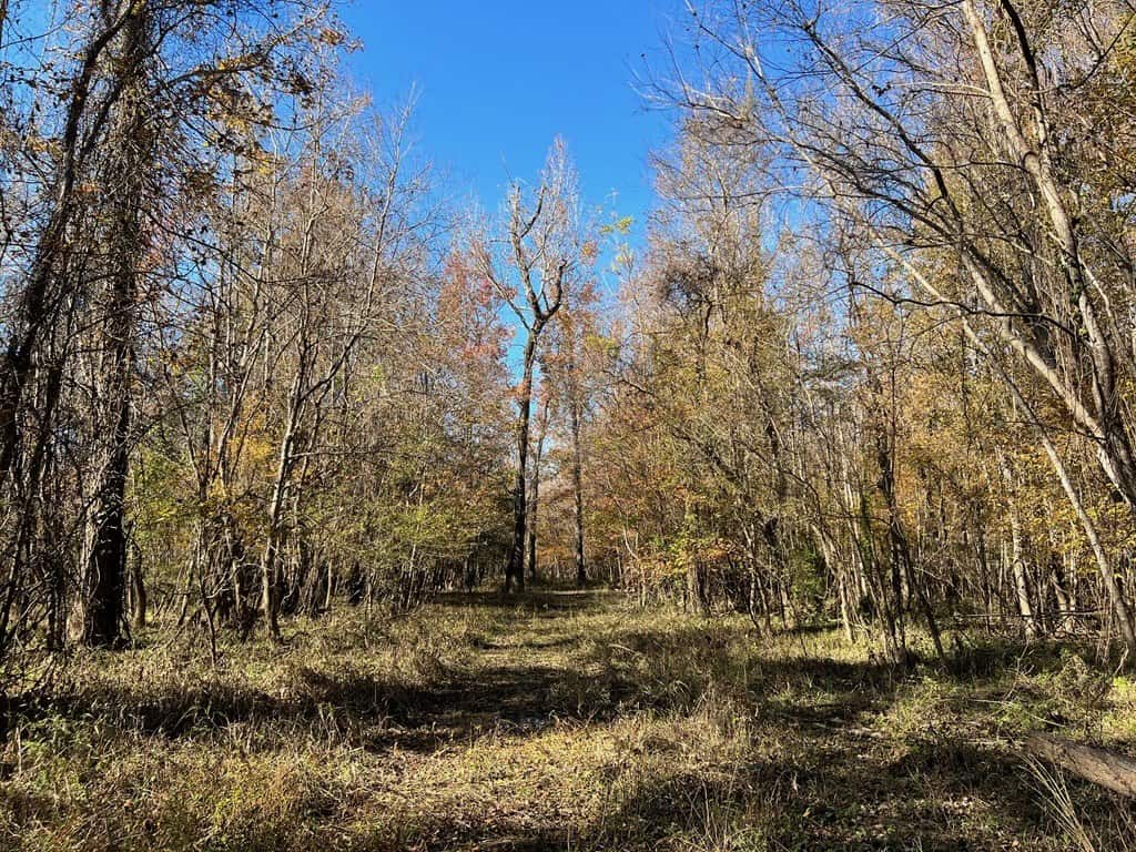 Hunting Land and Camp for Sale on the Pearl River