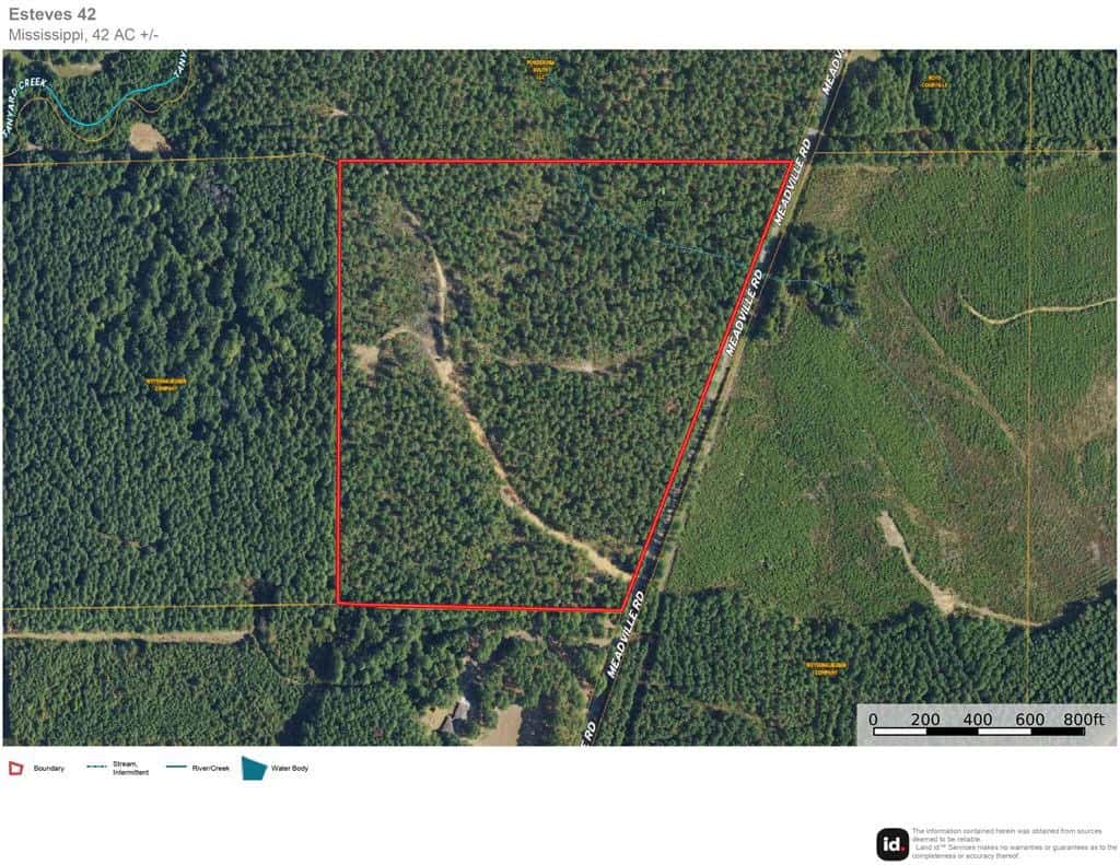 42 Acres Hunting Timberland for Sale Amite County, MS