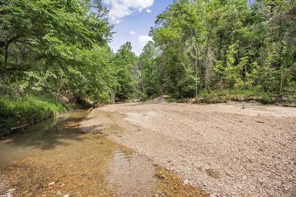 Turn Key Small Hunting Tract in Hinds County